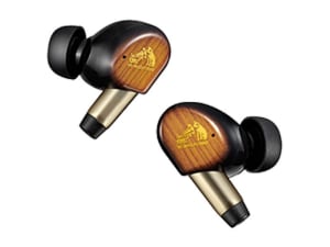 HA-FW10000」の高音質化技術を継承した、WOODシリーズ新世代プレミアム