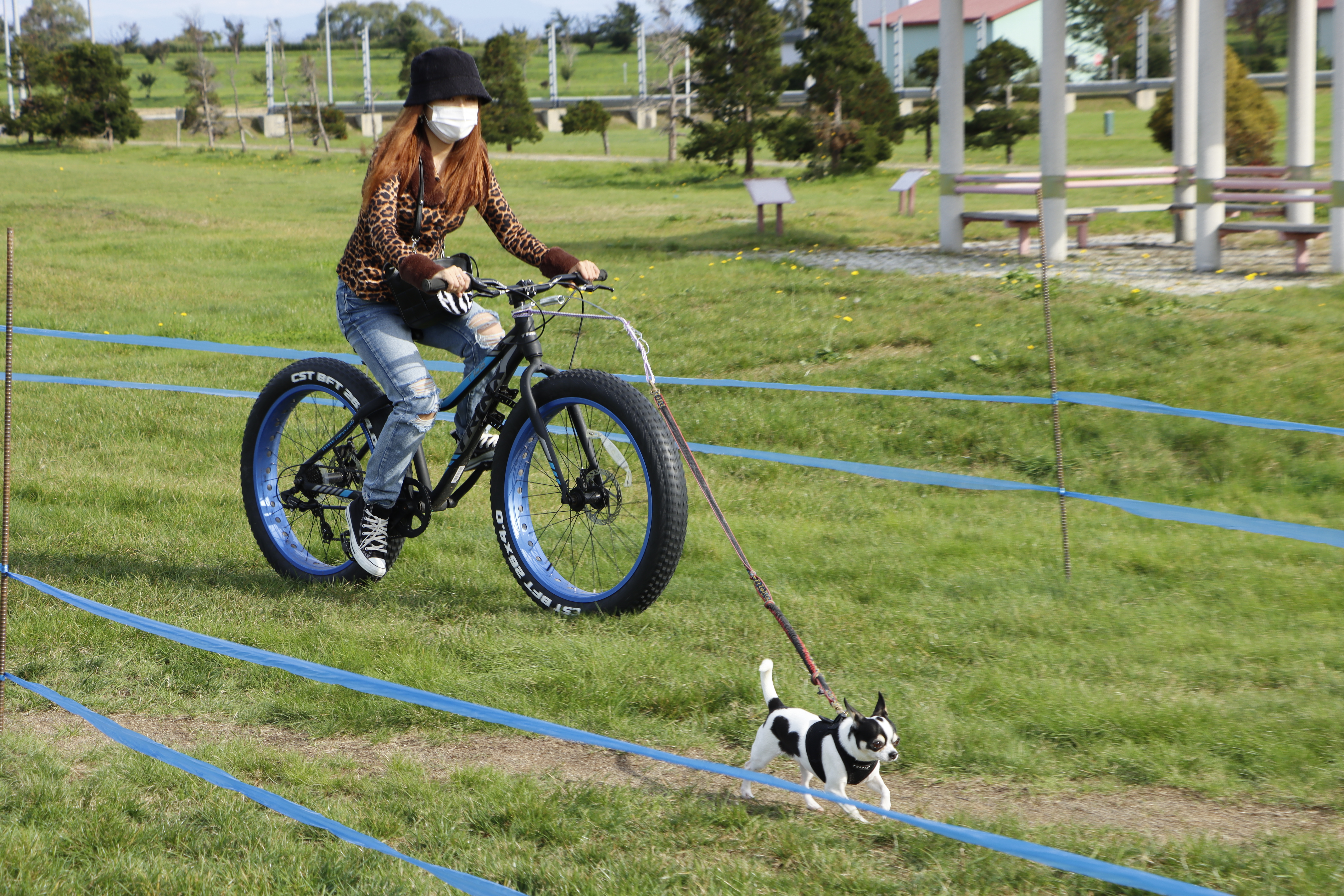 報告】10.9バイクジョアリング・カニクロス体験会～犬とともに爽やかな