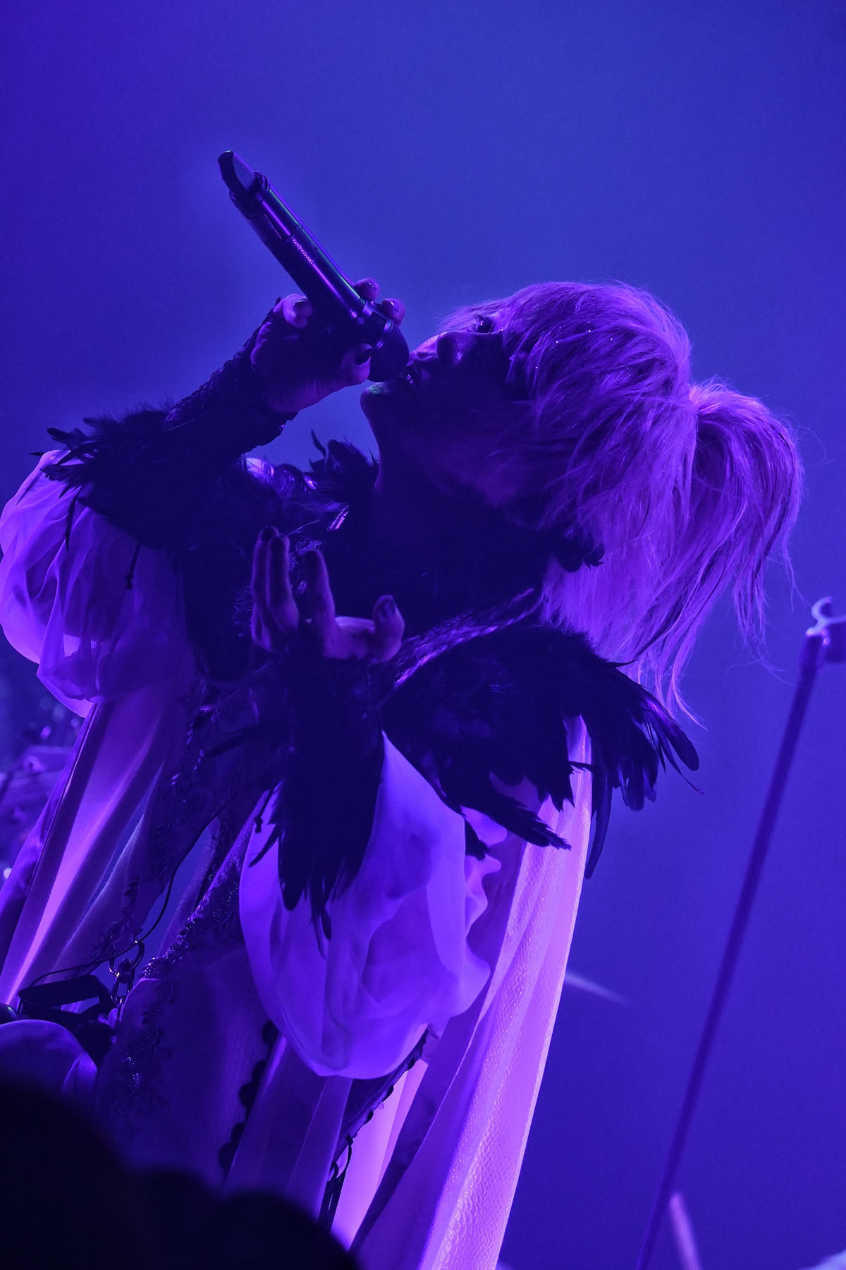 DAVID】ライヴレポート＜2nd FULL ALBUM発売記念ONEMAN 「Made in