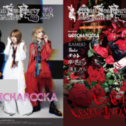 KAMIJO】約20年ぶりにLAREINEの楽曲のみでツアーを開催 | VISUNAVI Japan