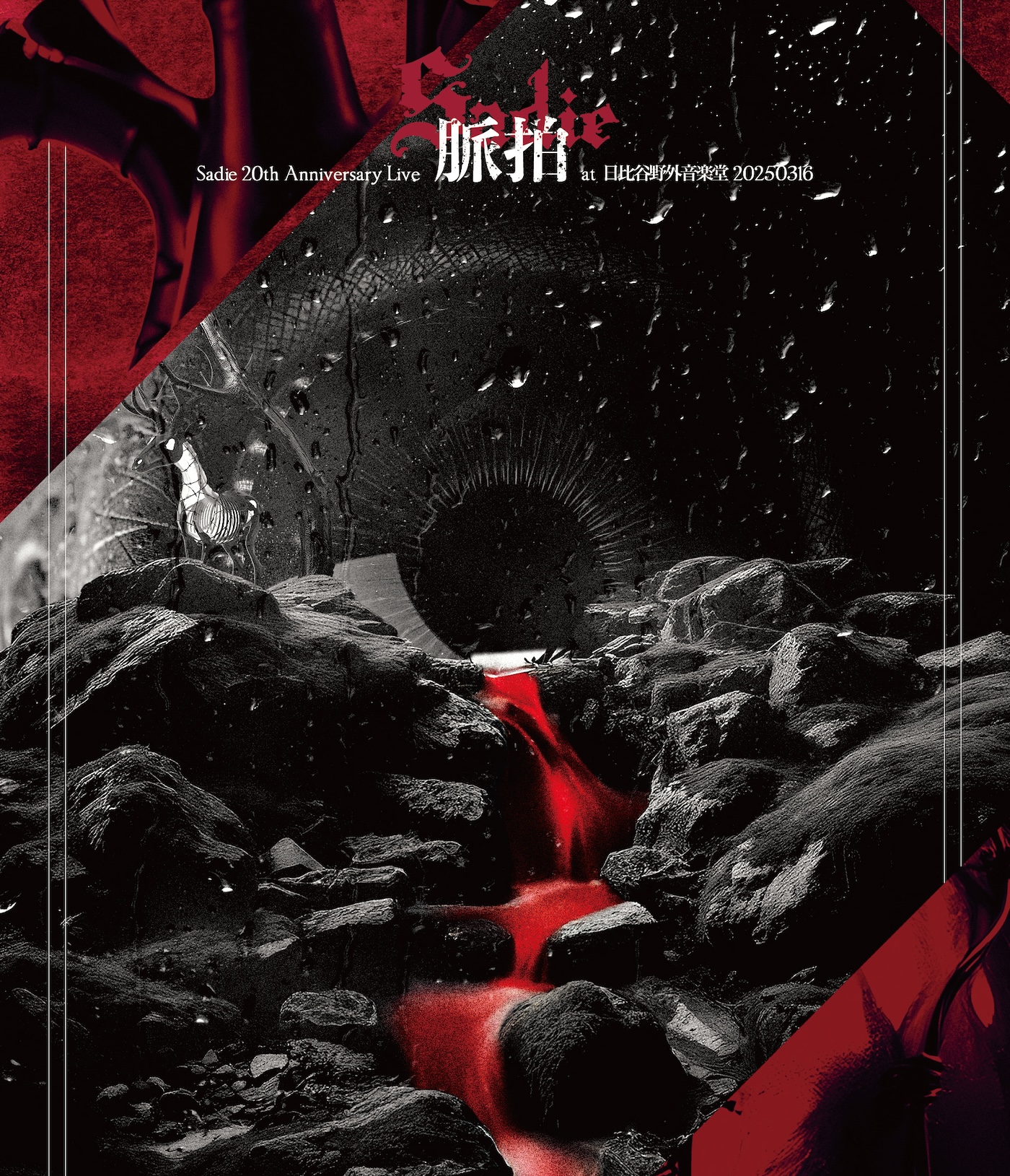 Sadie】2025年12月24日、セルフカバーアルバム三部作の最終章『THE