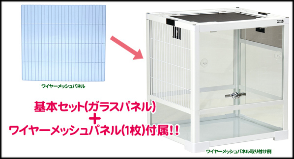 パンテオンホワイトWH4045 SANKO レプティワイルド 販売 通販 爬虫類用