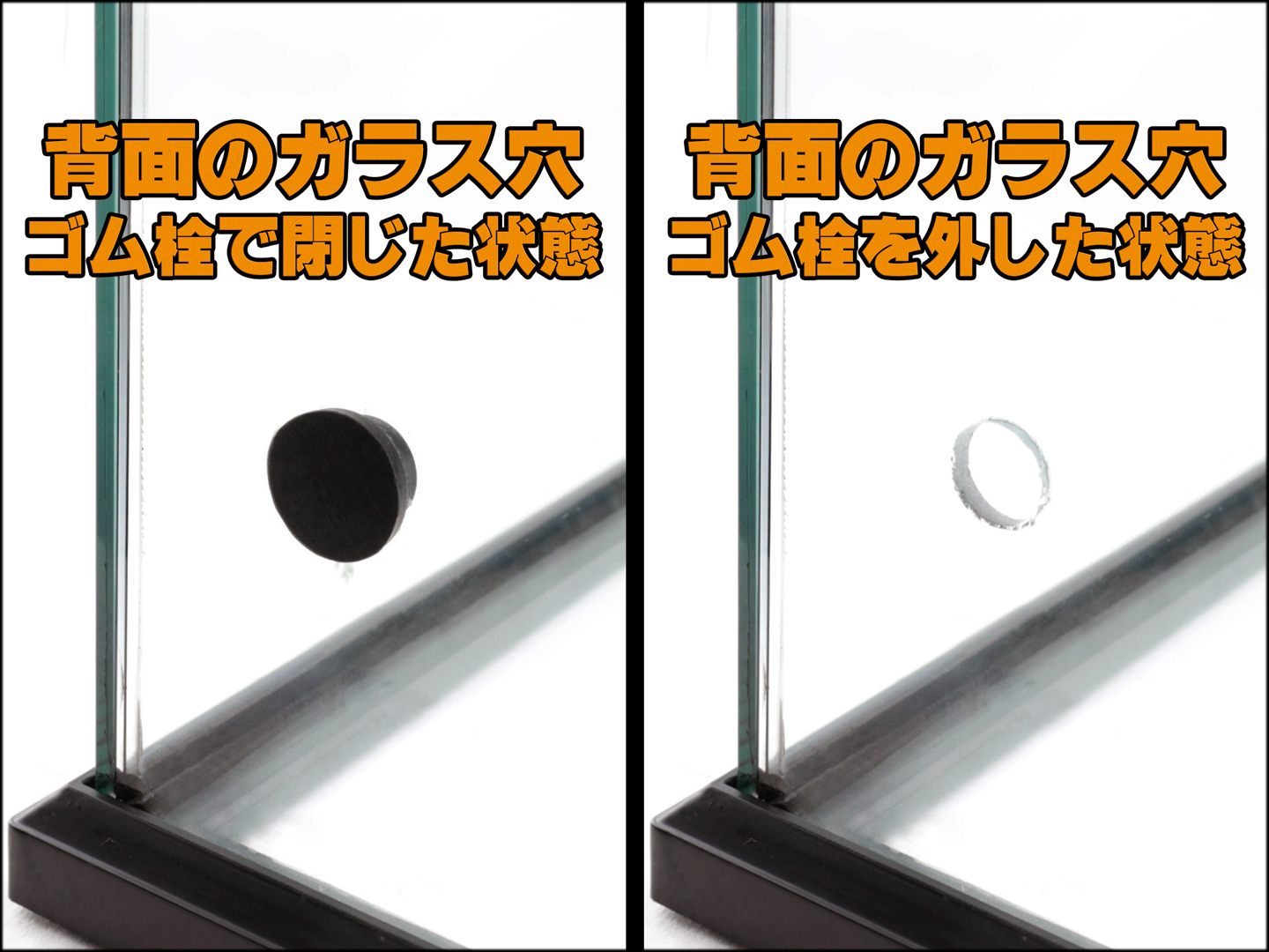 レインフォレストタンクL Low30 NOMOY PET ガラスケージ 販売 通販