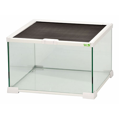 グラスゾーン30-WH レプティワイルド SANKO 販売 通販 爬虫類用ガラス
