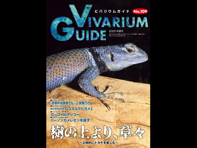 ビバリウムガイドNo.109 2025年6月号 樹の上より、草々 〜立体的に