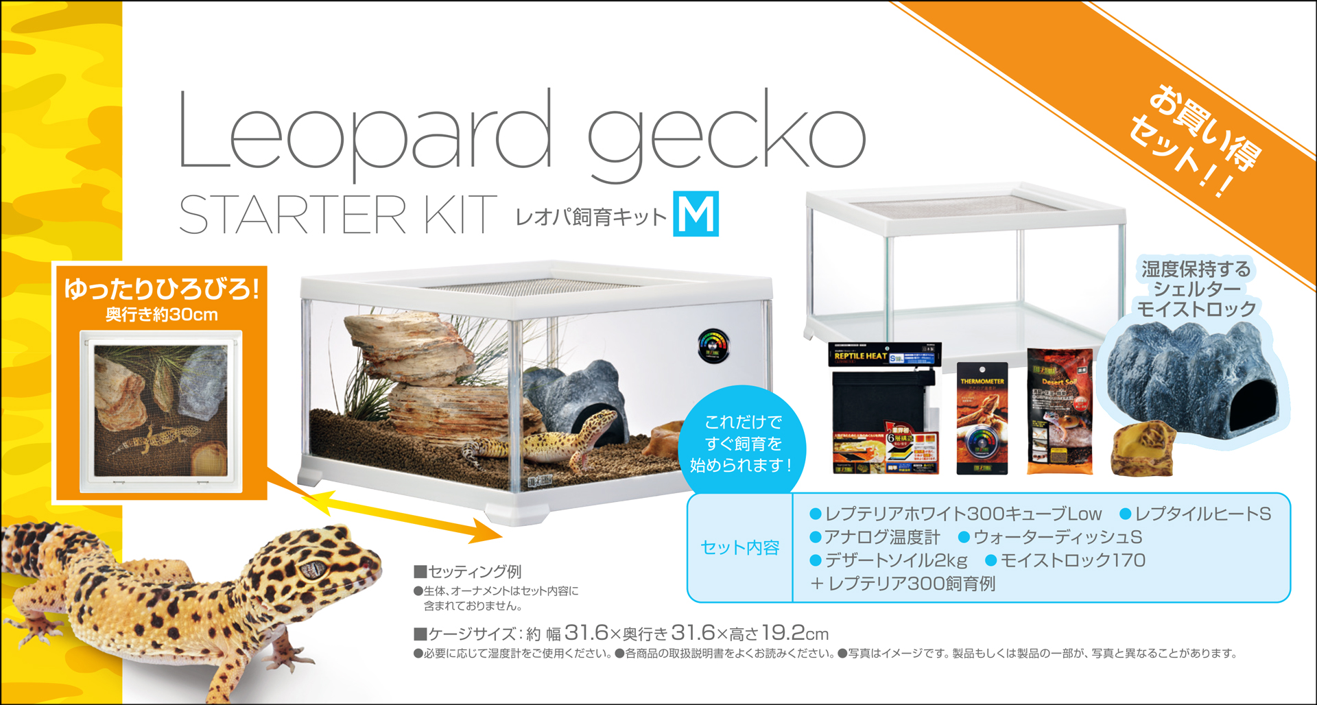 レオパ飼育キットM ジェックス(GEX) エキゾテラ(EXOTERRA) 販売 通販