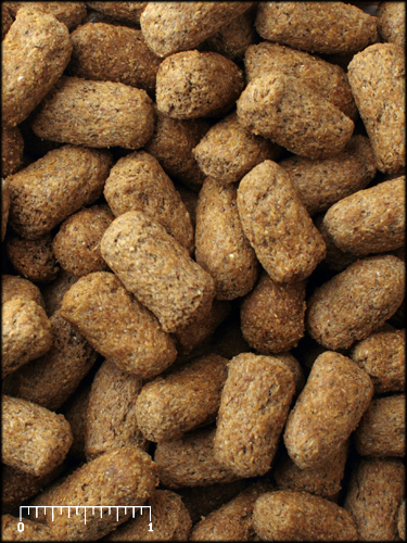 トータスダイエット5M21 11.33Kg(25lb)業務用 マズリリクガメの餌 販売