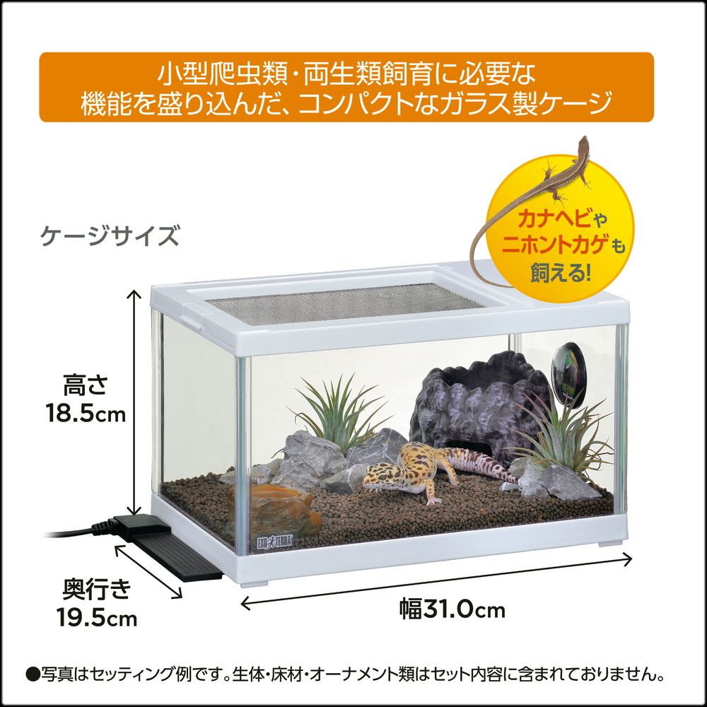 レオパ飼育キットS TV エキゾテラ(EXOTERRA) 飼育セット 販売 通販
