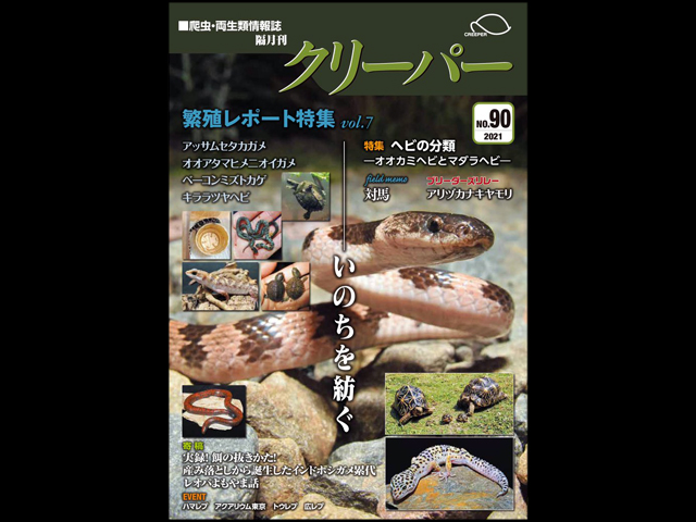 CREEPER（クリーパー） NO.90 繫殖レポート特集 vol.7