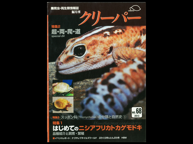 CREEPER（クリーパー） NO.68 はじめてのニシアフリカトカゲモドキ