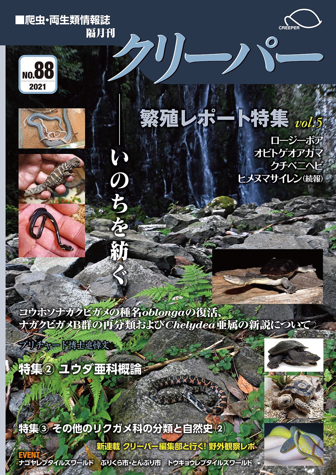 CREEPER（クリーパー） NO.88