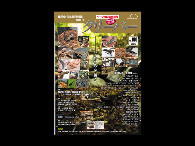 クリーパー(CREEPER) クリーパー社 販売 通販