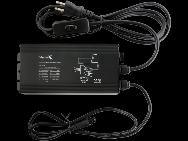 ソラリウムUV70Wセット ゼンスイ 爬虫類用メタハラ 販売 通販