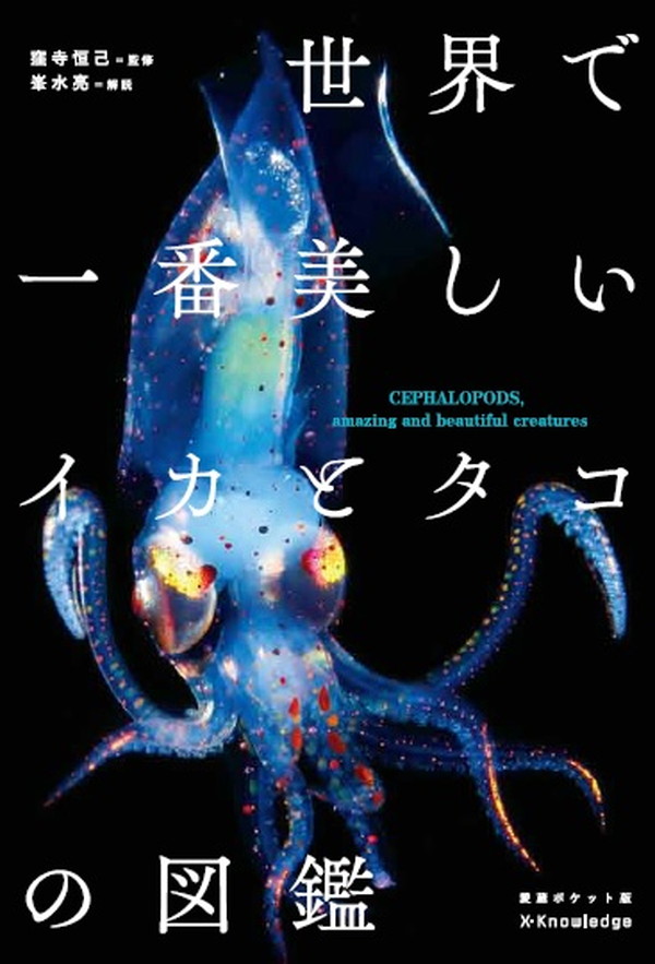 X-Knowledge | 世界で一番美しいイカとタコの図鑑 愛蔵ポケット版