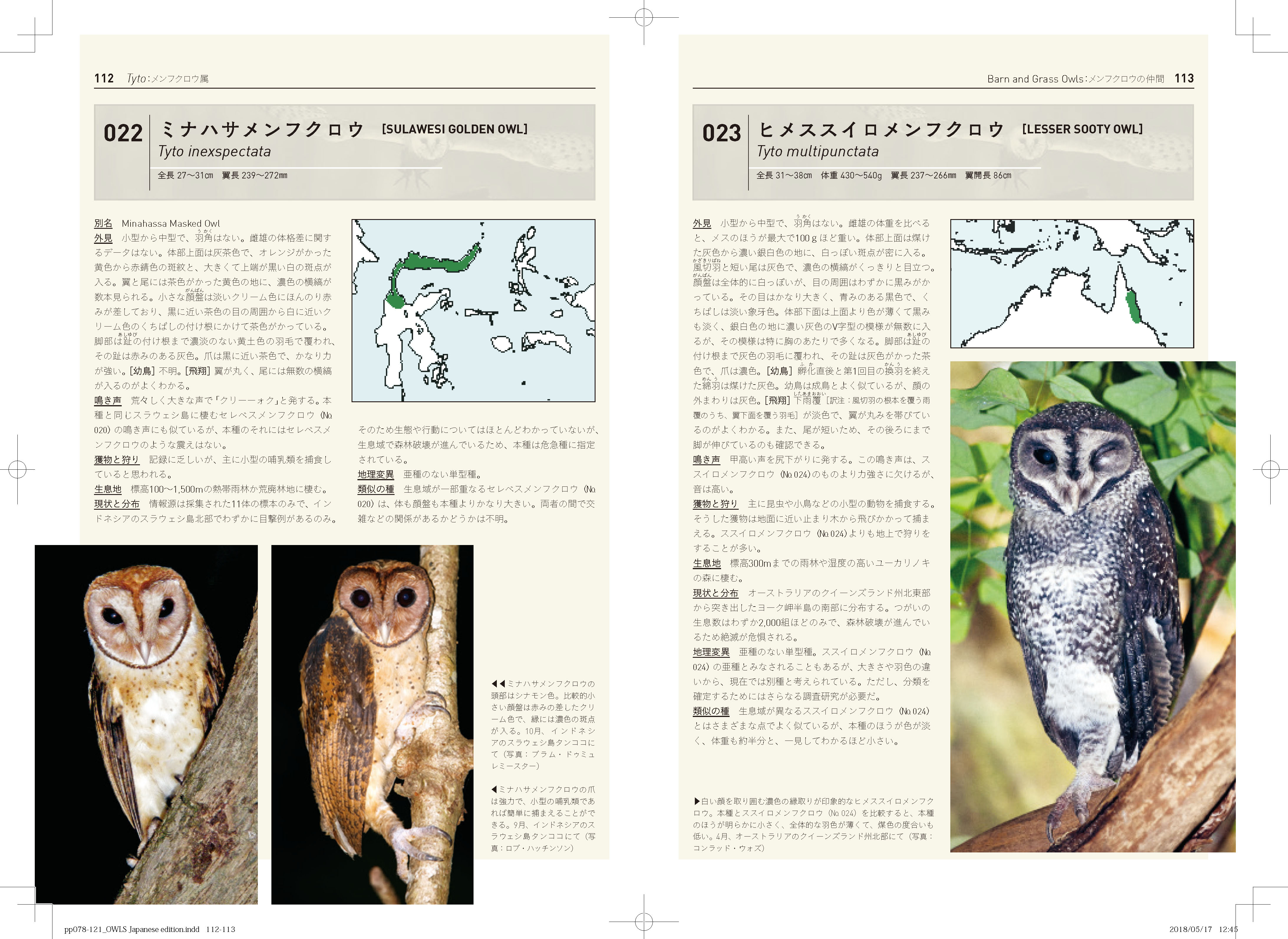 X-Knowledge | 世界のフクロウ全種図鑑