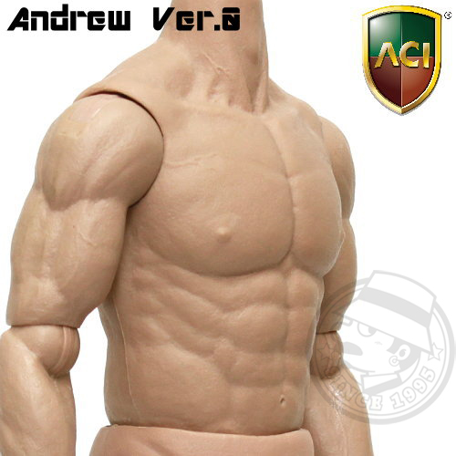 ACI Toys - 1/6 Body Series - Andrew Ver.0 (plain version : unpainted)