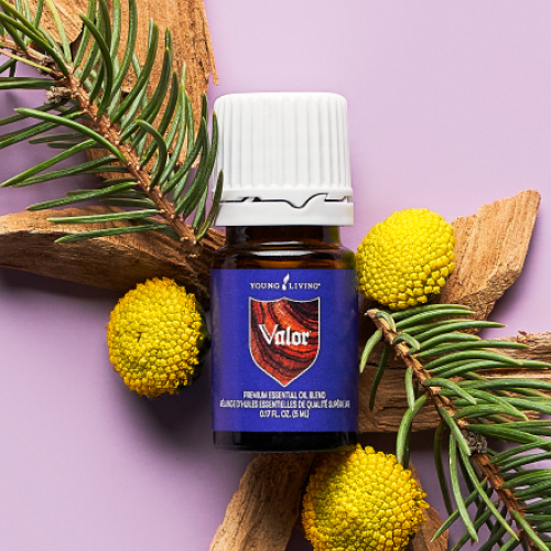 YLベーシックキット ブレンド｜ 11月1日（金）よりリニューアル販売の