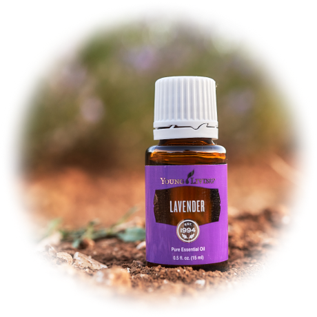シングル エッセンシャルオイル ラベンダー - ヤング・リビング 公式ブログ