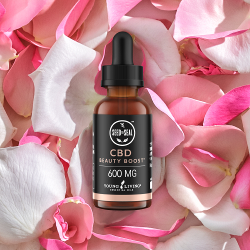 CBD コレクション｜前回ご好評いただいたCBDコレクションがこの冬再