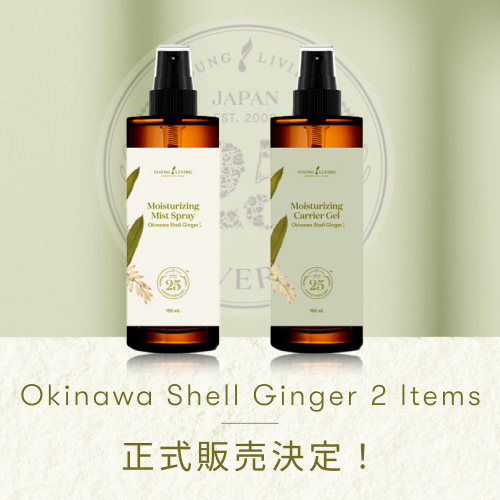 YLベーシックキット ブレンド｜ 11月1日（金）よりリニューアル販売の