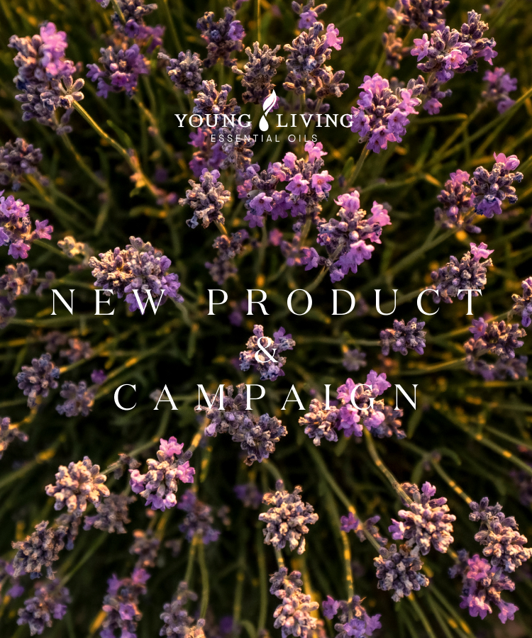 新製品、限定販売製品、キャンペーン製品を一覧でご紹介しています