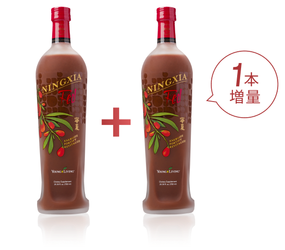 ご好評につき3月末まで延長！新春、新規登録特典 もれなく