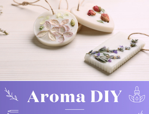 新製品｜「カクタスディフューザー」がついに単品で販売開始