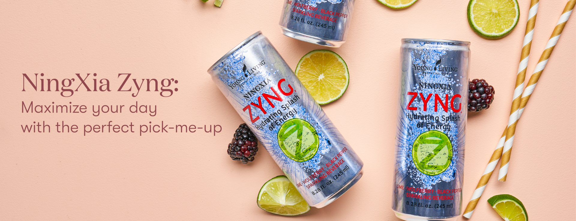 NingXia Zyng Benefits and Featured Recipes