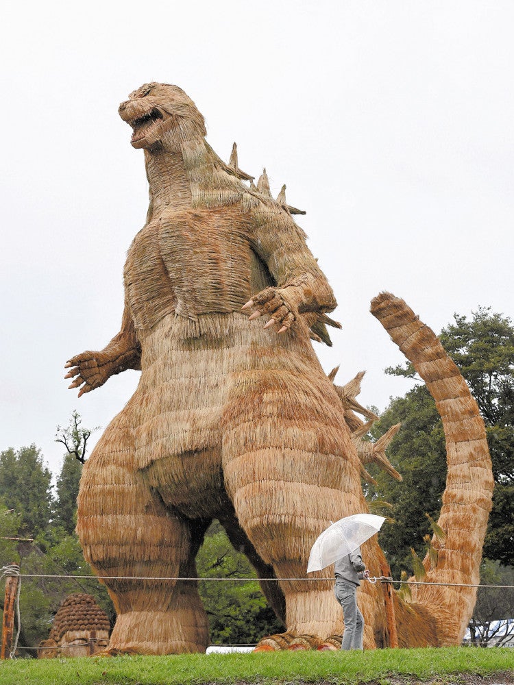 わらゴジラ」福岡県筑前町に現る…高さ10mのかかし、300人が2か