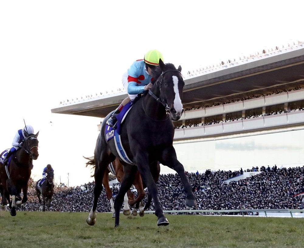 23年の世界ランク1位・イクイノックスの初年度産駒、セレクトセール