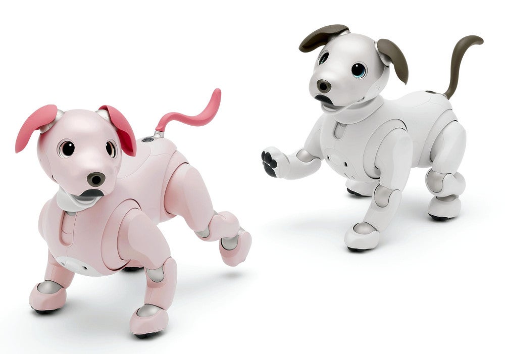 犬型ロボットのアイボ、ソニーが引き取り手を仲介…「処分しづらい