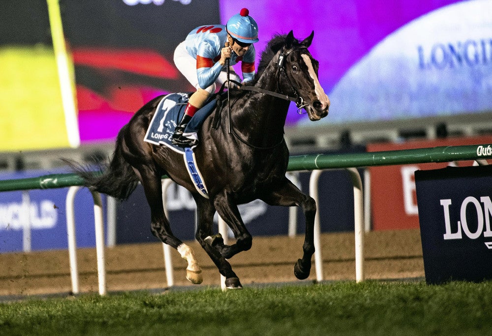 ドバイ・シーマC、ルメール騎乗のイクイノックス優勝…賞金4億