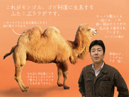キャメル敷布団（ラクダ毛100％）｜札幌で試し寝できるふとん専門店ヨネタ