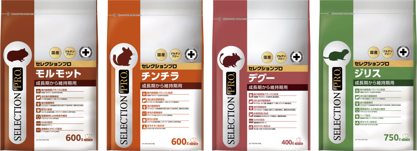 2025年秋 リニューアル・新商品のご案内 | 新着情報 | イースター