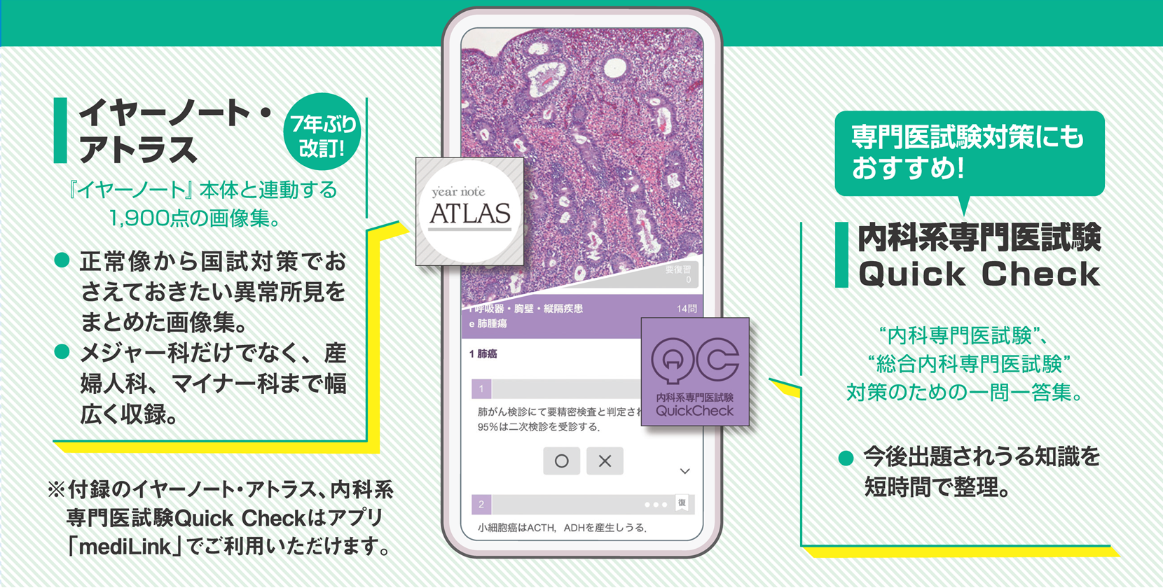 イヤーノート 内科・外科 | yearnote イヤーノート