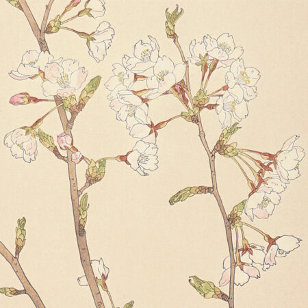 Hiroshi NODA” | Yamada Shoten | Tokyo, Japan