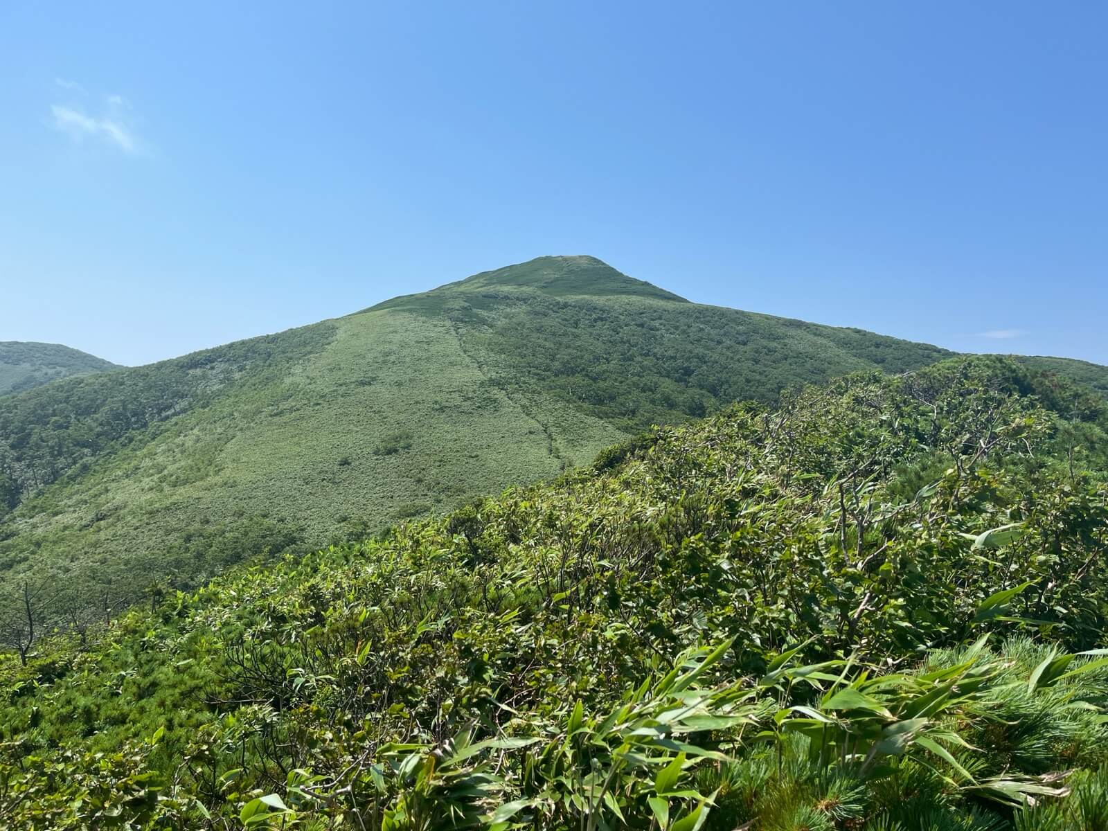 礼文岳｜「花の浮島」で名高い礼文島の最高峰-ヤマレコ