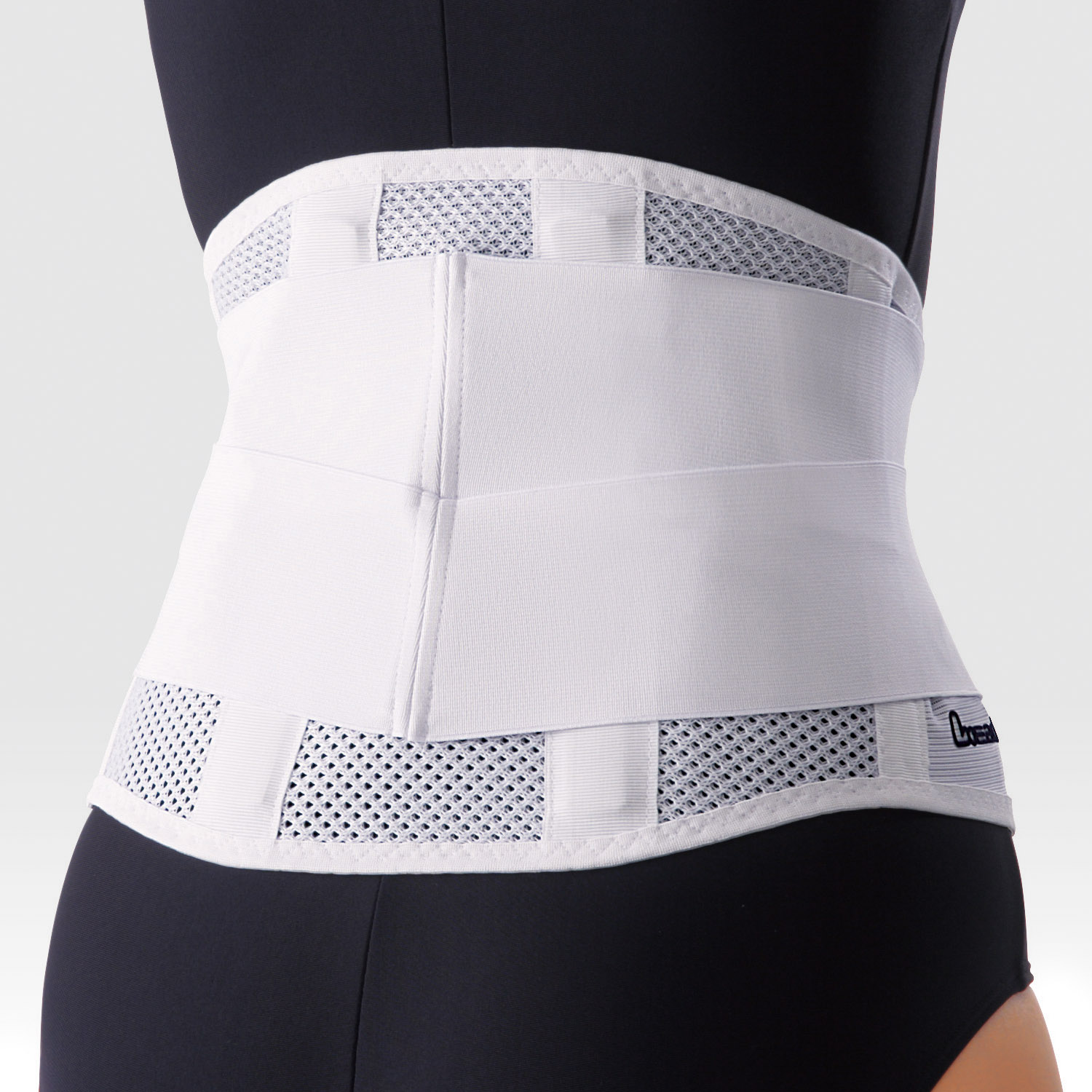 リーダー腰痛保護ベルトメッシュタイプ LL | かぜとゆきオンラインショップ