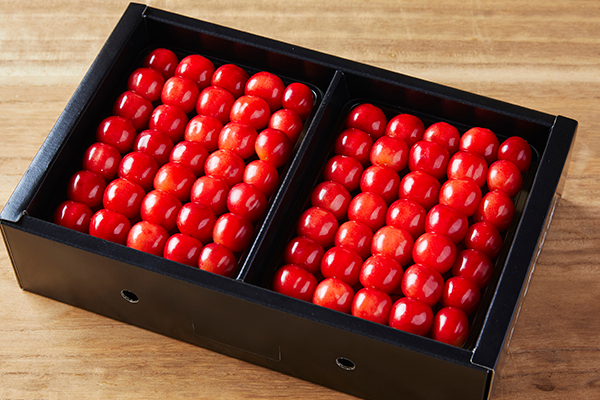 やまや園 山形のおいしいさくらんぼ 佐藤錦