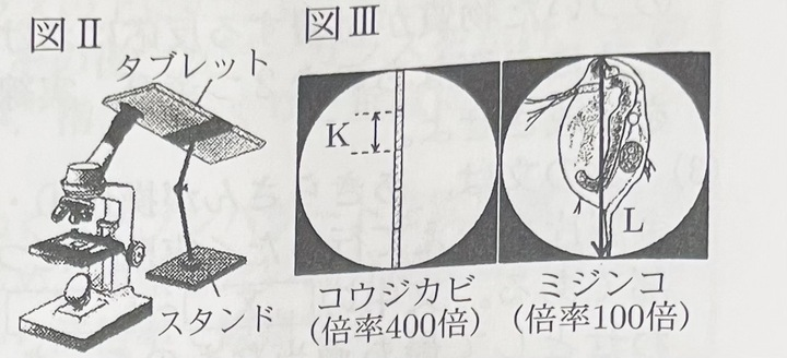 大阪府】令和5年度理科－過去問解説- 家庭教師のやる気アシスト
