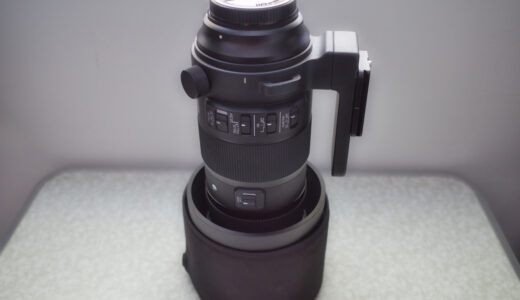 手軽な望遠単焦点レンズ「Canon EF 300mm F4L IS USM」 | 勇ブログ -ISAMU-