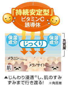 株式会社 悠香｜ホームページ限定 シミ対策お試しセット
