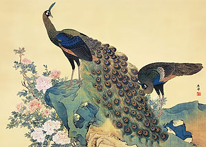 有名作家の掛け軸 円山応挙作 牡丹孔雀図【和風モダン掛】ミニサイズ