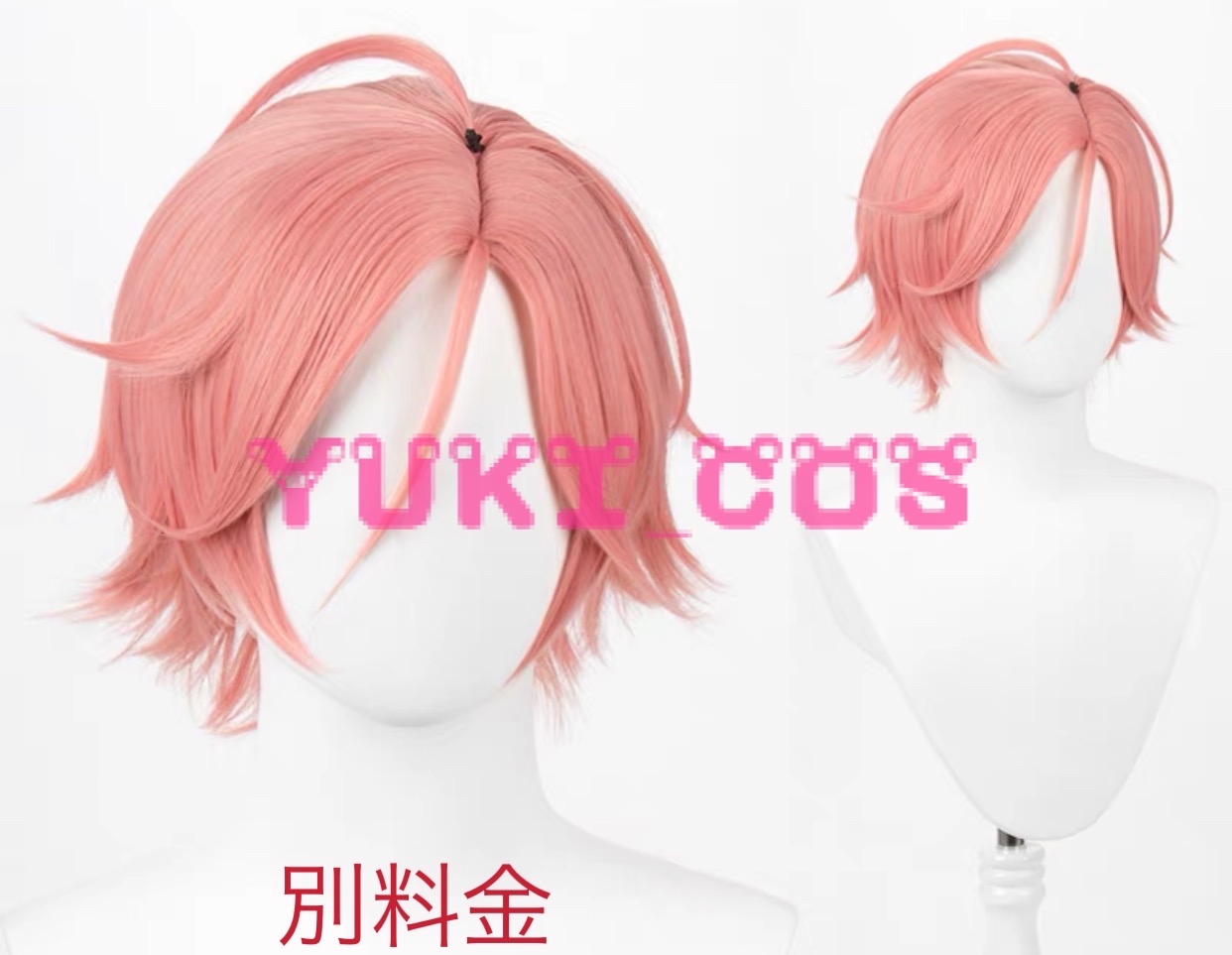 あんさんぶるスターズ！！あんスタ アルバムシリーズ TRIP Double Face