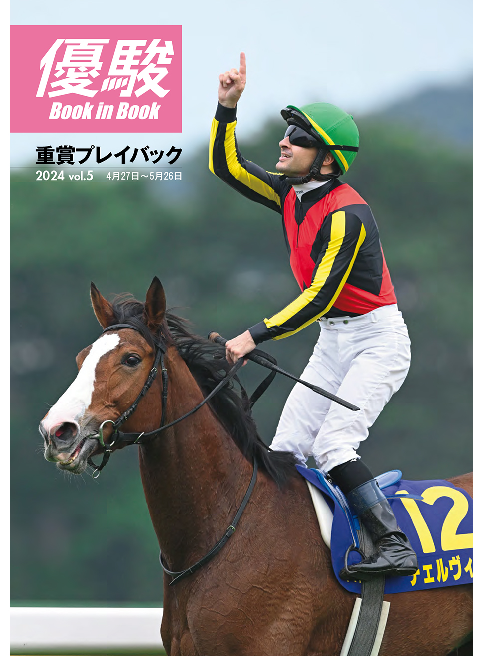 JRA ターフヒーロー 優駿3月号増刊 1996-1999 全重賞カラーグラフ JRA