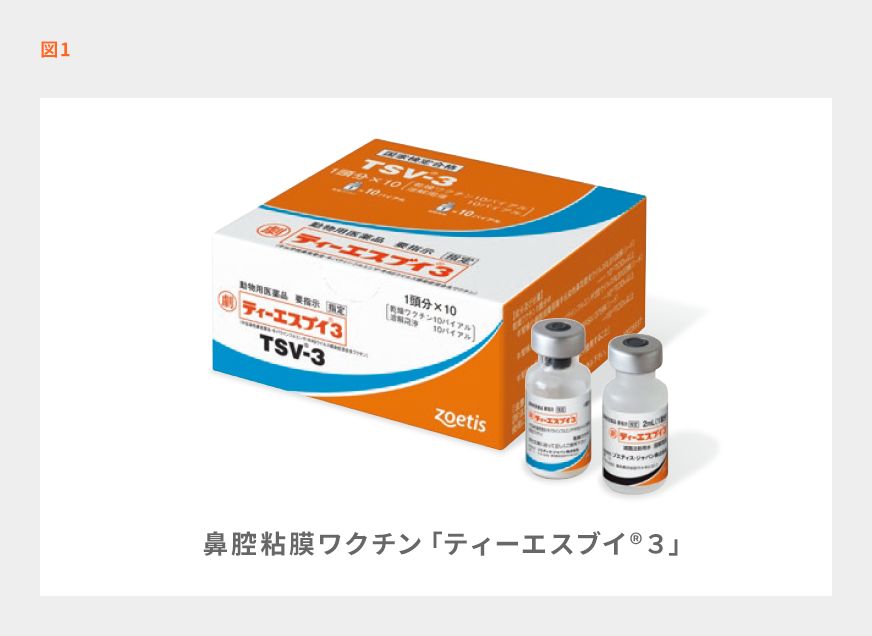 Veterinary Pediatrics 第3版 Veterinary Pediatrics 第3版