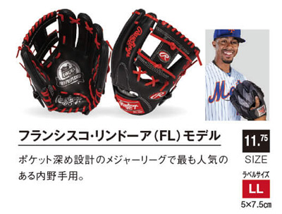 ローリングス・グラブオーダー基本モデル