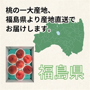 あかつき 7月下旬発送開始 | 全農食品オンラインショップ