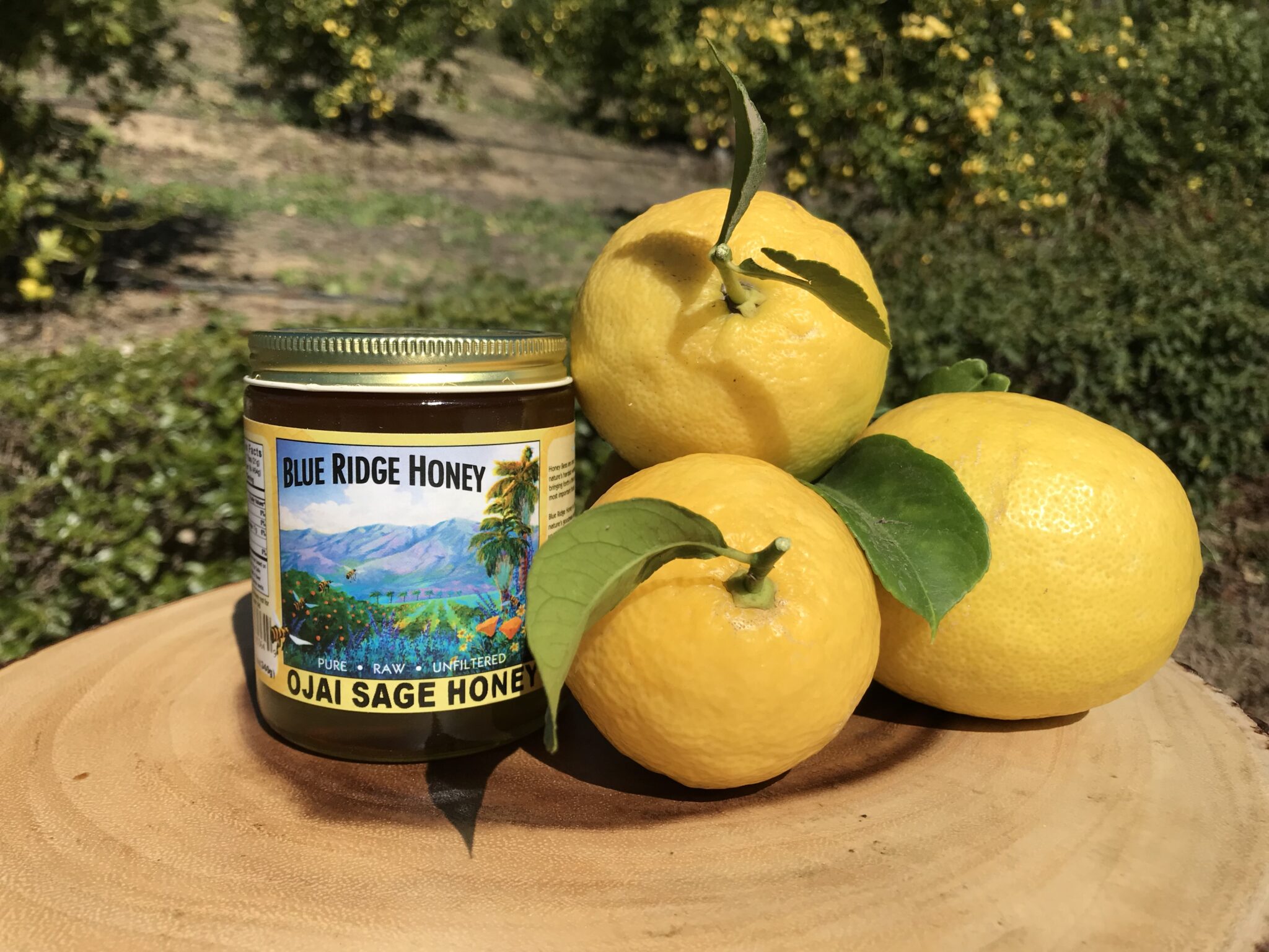 Get Well Soon Gift Box - Organic Lemons and Honey from California