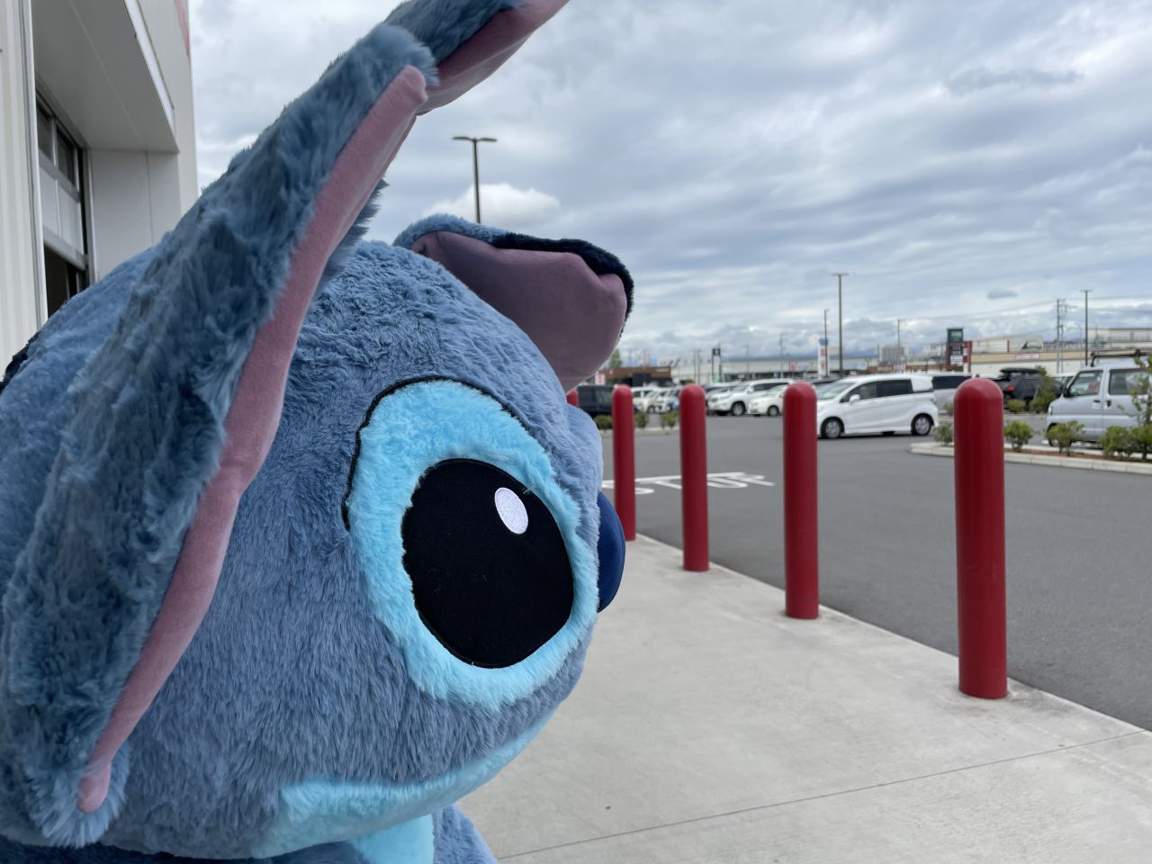 特大スティッチぬいぐるみの最新価格や割引(口コミ):コストコで在庫番